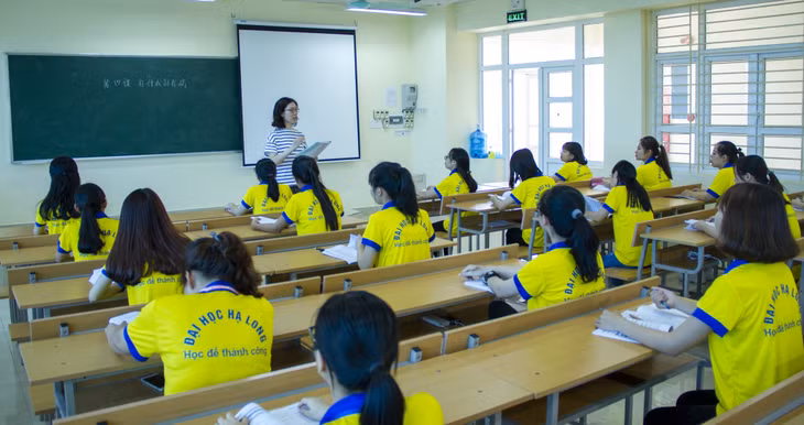 Hệ thống phòng học, giảng đường tại Trường Đại học Hạ Long có thể đáp ứng tốt cho quy mô 8.000 người học.