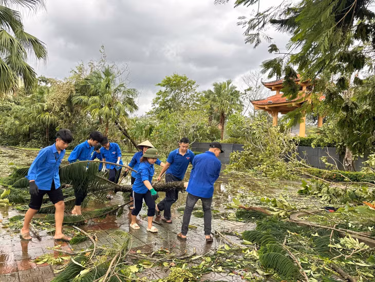 Đoàn Thanh niên xã Tiên Lãng tham gia dọn cây bị đổ do bão số 3.