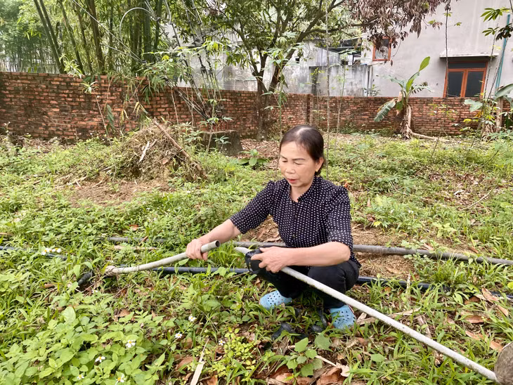 Do đường ống nước kéo từ trên các suối về khá xa, thường xuyên bị bục hoặc gãy nên bà Chu Thị Nhung (thôn 1, xã Dân Chủ) phải đi dò tìm để khắc phục sự cố.