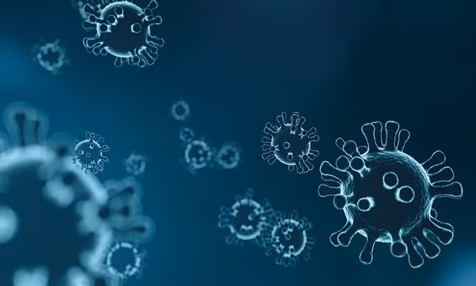Virus corona xuất hiện từ rất sớm trong lịch sử loài người. Ảnh: Pixabay