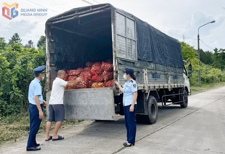 Đội QLTT số 1, khám phương tiện vận chuyển 9.100kg ngao không rõ nguồn gốc, xuất xứ ngày 28/6/2025.