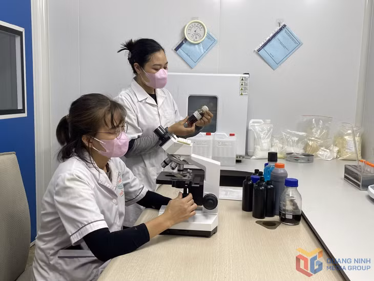 Ngoài thể chế, chính sách, hạ tầng, Quảng Ninh cũng đang ưu tiên phát triển nguồn nhân lực số, nhân lực sáng tạo nhằm tạo sự đột phá về KHCN.