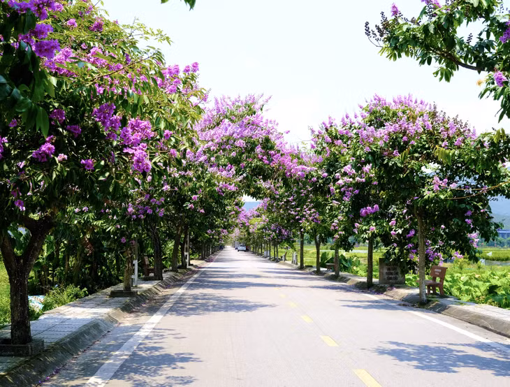 Các tuyến đường kiểu mẫu tạo cảnh quan môi trường trong lành, tươi đẹp.