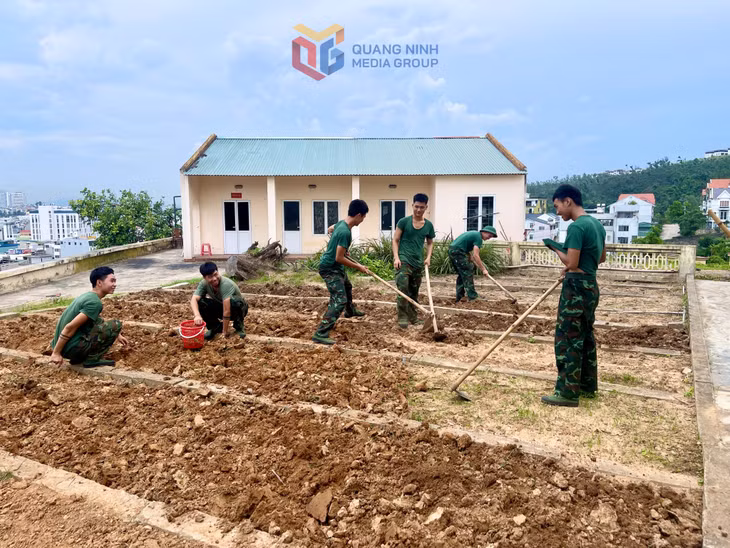 Chiến sĩ Ban Chỉ huy PTKV 4 - Hạ Long làm đất tăng gia sản xuất.