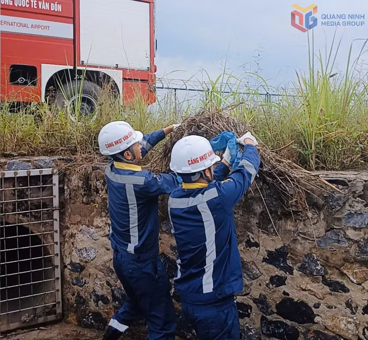 Nhân viên dọn rác ở các đường mương xung quanh sân bay đảm bảo thoát nước khi mưa lớn.