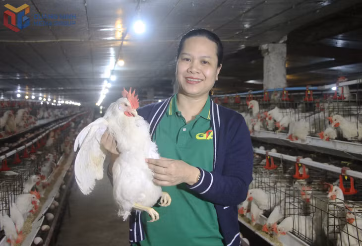 Chị Phạm Thị Nguyệt Dung, chủ Trang trại Sản xuất, kinh doanh trứng gà Tân An. Ảnh: Nguyễn Dung