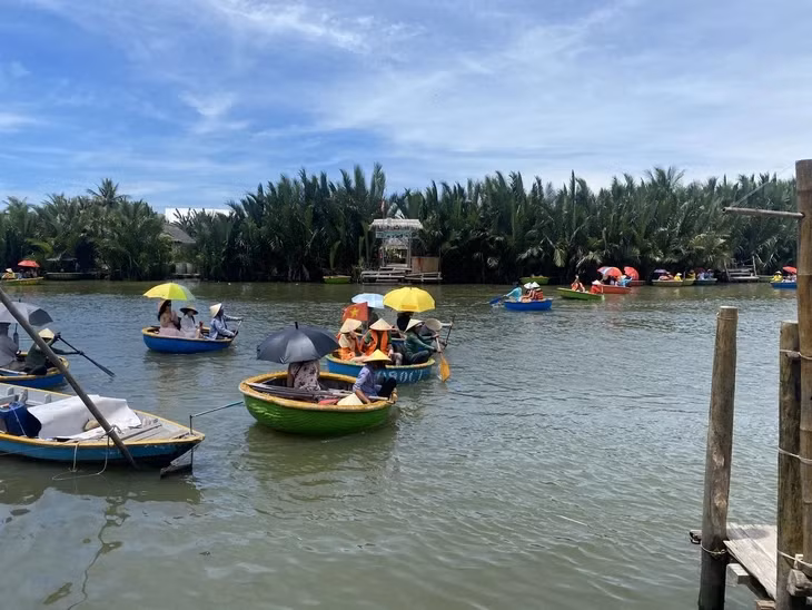 Khách tham quan rừng dừa Cẩm Thanh, Hội An - Ảnh: B.D.