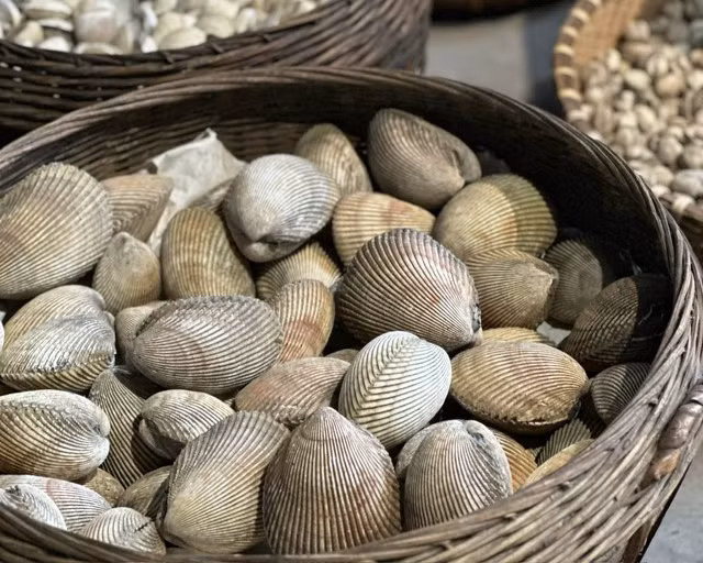 Sắt và kẽm có trong nhiều loại hải sản.