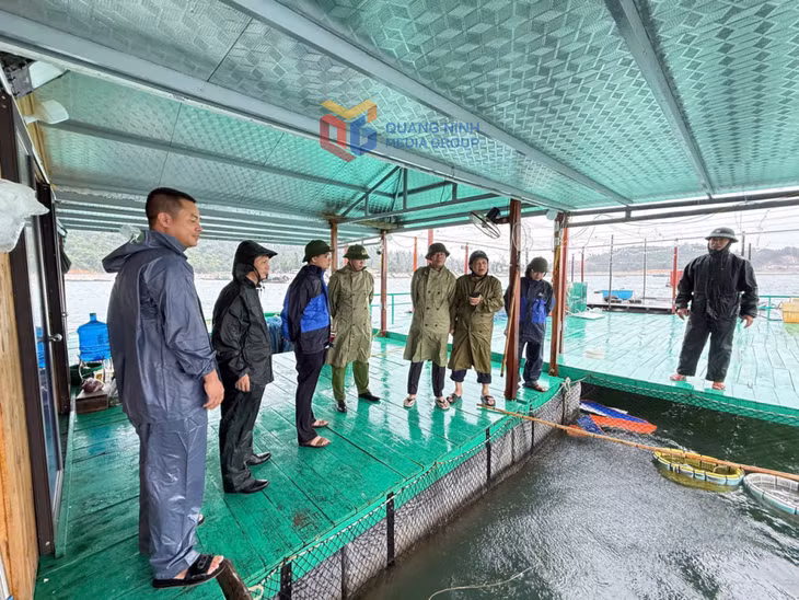 Ban Chỉ huy PCTT&TKCN Đặc khu Cô Tô kiểm tra công tác đảm bảo an toàn đối với các nhà bè nuôi trồng thuỷ sản trên biển trước cơn bão số 3 (Wipha) 