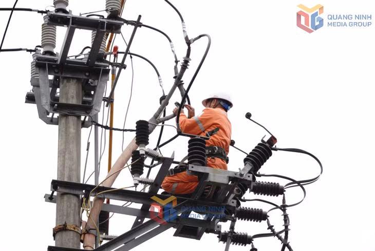 Công nhân Công ty Điện lực Quảng Ninh kiểm tra xử lý tiếp xúc khiếm khuyết các đường dây trung thế trên địa bàn phường Hạ Long.