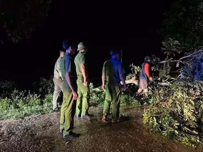 Tối 19.7, tại Nghệ An xảy ra mưa lớn kèm gió mạnh khiến nhiều cây cối đổ gãy, trong đó có một cành cây gãy đè trúng một người đàn ông người tử vong. Ảnh: Ngọc Anh.