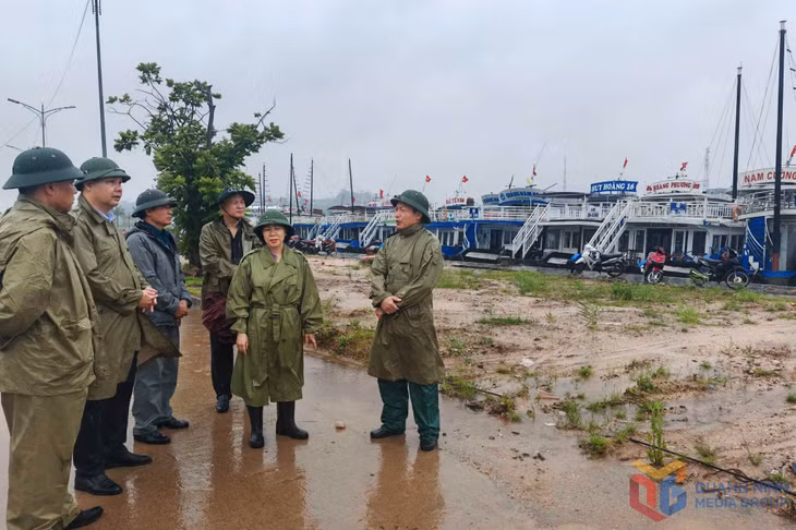 Lãnh đạo phường Tuần Châu kiểm tra tàu thuyền phòng chống bão.