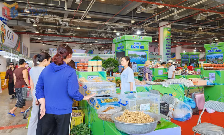 Hội chợ OCOP khu vực Đồng bằng sông Hồng - Quảng Ninh 2025.