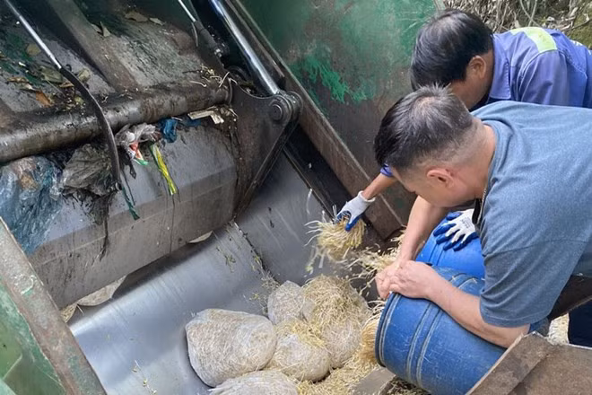 Lực lượng chức năng Lào Cai tiêu hủy số giá đỗ sản xuất bằng hóa chất độc hại. Ảnh: Công an cung cấp