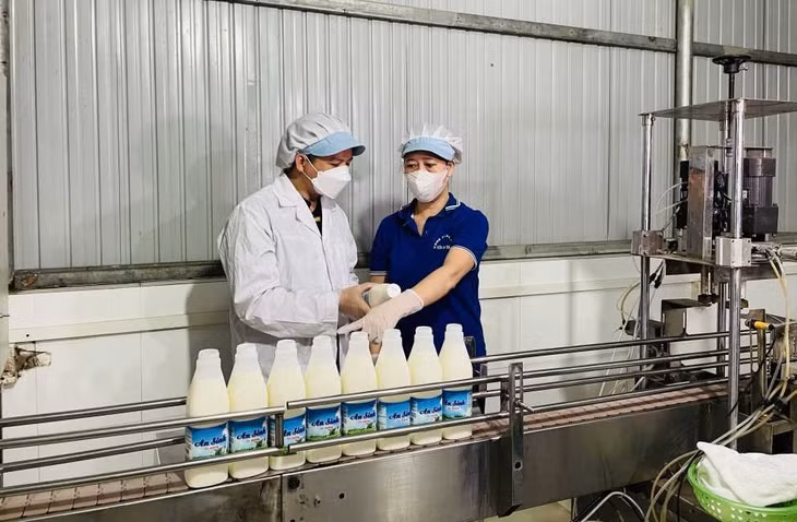 Áp dụng KHCN trong sản xuất, chế biến sữa tại Công ty CP Sữa An Sinh.