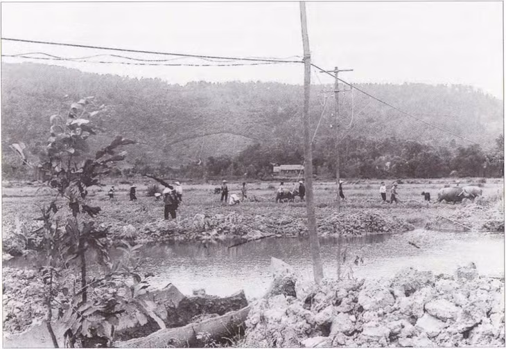Năm 1964, mặc dù bị đánh phá ác liệt, nhân dân xã Sơn Dương, huyện Hoành Bồ, vẫn dũng cảm sản xuất bên hố bom của kẻ thù.