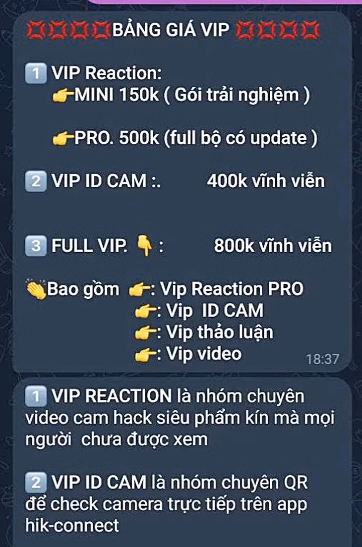 Các dòng rao bán video trên mạng