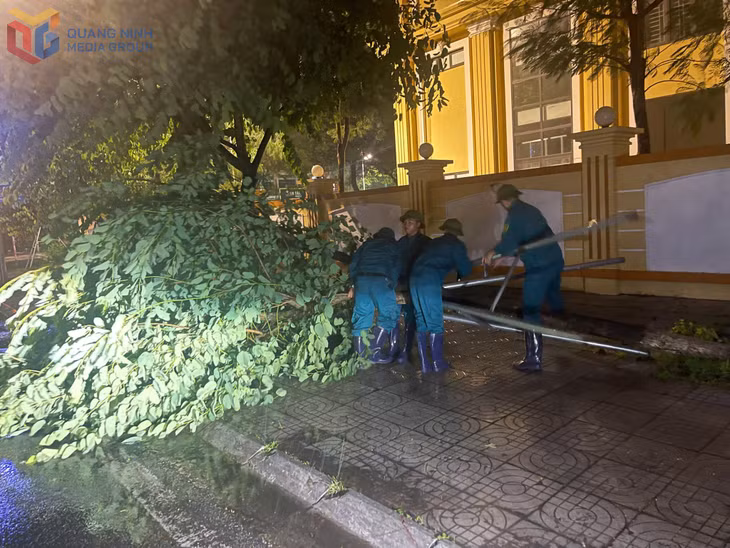 Khu Hạ Long, phường Móng Cái 2