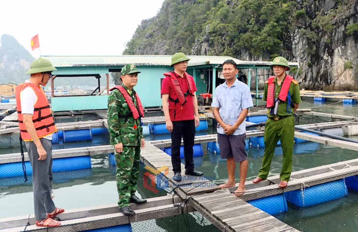 Lãnh đạo phường Cẩm Phả kiểm tra, vận động các hộ nuôi trông thủy sản trên địa bàn gia cố bè mảng và nhanh chóng lên bờ tránh trú bão.