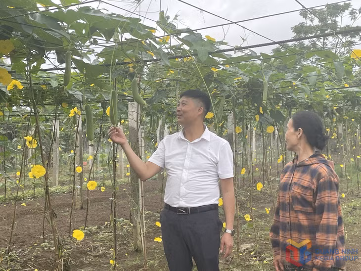 Anh Trần Văn Thành, Chủ tịch HND xã Quảng Minh (huyện Hải Hà) trao đổi với hội viên, nông dân về phát triển các mô hình sản xuất nông nghiệp.