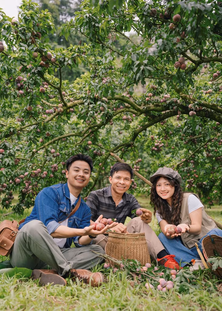 Sinh ra lớn lên ở Mộc Châu, Quang Kiên đã ghé thăm nhiều điểm ở quê mình nhưng anh vẫn thích thú khi được ngắm nhìn vườn mận sai trĩu quả đúng chính vụ. “Một buổi sáng có thể đi hái mận, nghe chủ vườn Nguyễn Xuân Văn kể chuyện trồng mận, chăm sóc cây và thu hái quả... cũng như làm thương hiệu mận ruby Mộc Châu“.