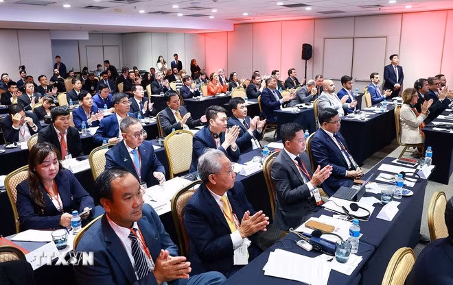 Các đại biểu tham dự Diễn đàn doanh nghiệp Việt Nam-Brazil. (Ảnh: Dương Giang/TTXVN)