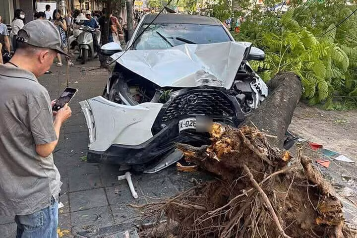 Chiếc ô tô tông đổ cây xanh trên phố Trần Đại Nghĩa. (Ảnh: Duy Linh)