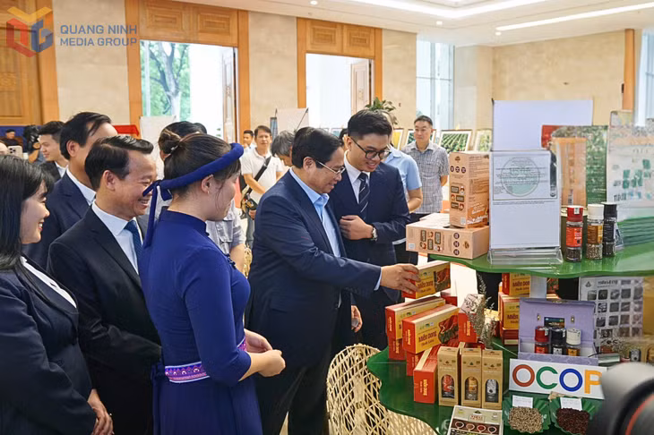 Miến dong Bình Liêu, sản phẩm OCOP 5 sao của Quảng Ninh được lựa chọn tham gia trưng bày tại Hội nghị tổng kết chương trình xây dựng NTM, thể hiện sự ghi nhận ngày càng cao của sản phẩm OCOP Quảng Ninh.