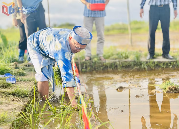 Mở đầu lễ, sau nghi thức tế Thần Nông, Thành hoàng diễn ra tại đình Cốc, ông chủ tế sẽ cấy những cây lúa đầu tiên xuống thửa ruộng trước cửa đình. Sau đó, mọi gia đình trong làng mới cấy lúa xuống ruộng nhà mình.