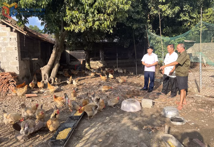 Mô hình chăn nuôi gia cầm của gia đình ông Làu Cún Sáng (ngoài cùng bên phải) ở bản Thanh Lâm (xã Quảng Tân).