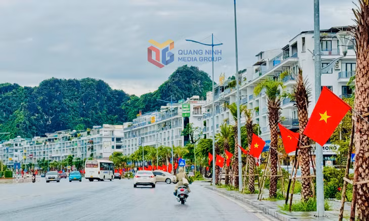 Một đoạn tuyến đường Trần Quốc Nghiễn đi qua phường Hạ Long.