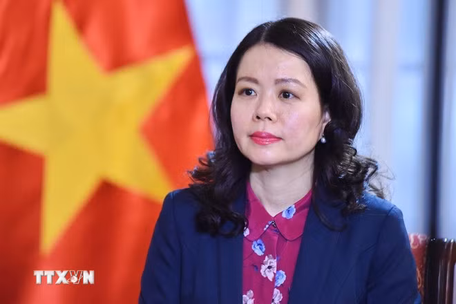 Thứ trưởng Ngoại giao Nguyễn Minh Hằng. (Ảnh: TTXVN)