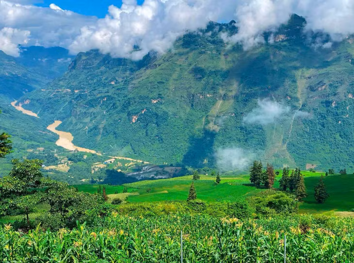 Những ngày gần đây, bà con đang chuẩn bị làm đất cho vụ hoa tam giác mạch. Dự kiến từ giữa hoặc cuối tháng 8, hoa bắt đầu nở, thu hút khách đến tham quan, chụp ảnh. Ảnh: Đức Đen
