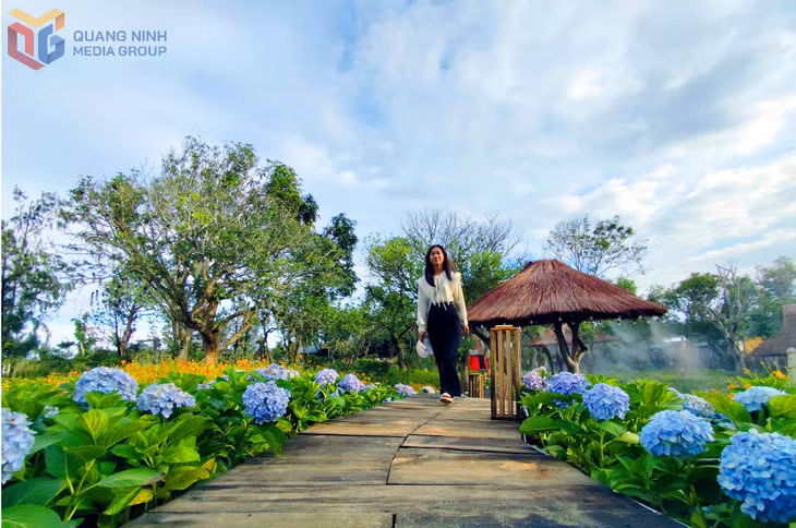 Dạo bước giữa vườn hoa bên bờ biển mang đến cho du khách nhiều cảm xúc khó quên.