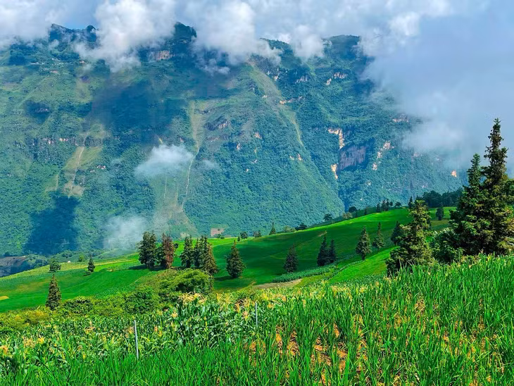 Tại đây, du khách có thể cắm trại, trekking, đạp xe hoặc chụp ảnh. Bên cạnh đó, nhiều hoạt động văn hóa cộng đồng như dệt vải, trồng trọt, chăn nuôi hay ẩm thực truyền thống của người H’Mông cũng là điểm nhấn trong hành trình trải nghiệm. Ảnh: Đức Đen