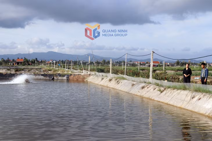 Khu vực nuôi tôm công nghẹ cao Công ty TNHH Đầu tư nông nghiệp sạch Hồng Thái (phường Hà An).