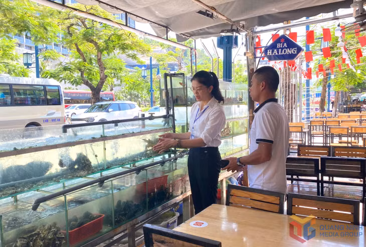 Cán bộ phòng Văn hóa-Xã hội phường Bãi Cháy hướng dẫn chủ cơ sở kinh doanh niêm yết giá công khai. 
