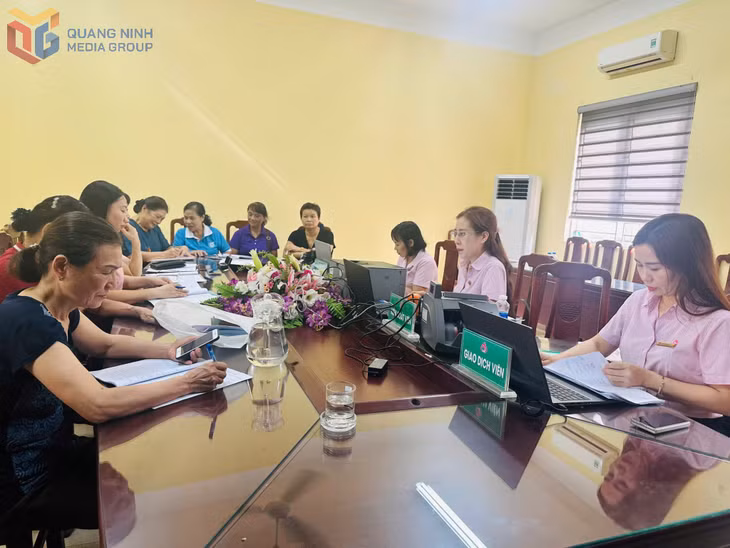 Phiên giao dịch đầu tiên của Ngân hàng Chính sách xã hội chi nhánh Quảng Ninh tại phường Hạ Long.