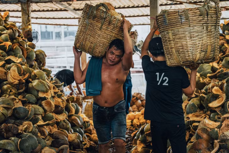 Nét lam lũ của người dân xứ dừa. Dừa không chỉ được thu hoạch để lấy nước, cùi mà còn khai thác cả xơ, vỏ dừa, sọ dừa... sơ chế và tạo tác các món đồ từ phục vụ đời sống hàng ngày cho đến đồ thủ công mỹ nghệ xuất khẩu ong một xưởng thu mua, sơ chế dừa.