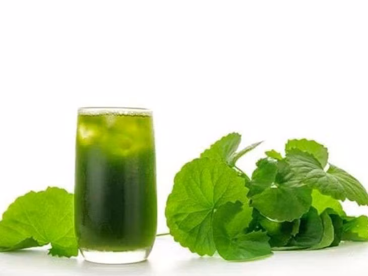 Nước rau má giảm tình trạng đau đầu, chóng mặt do say nắng.