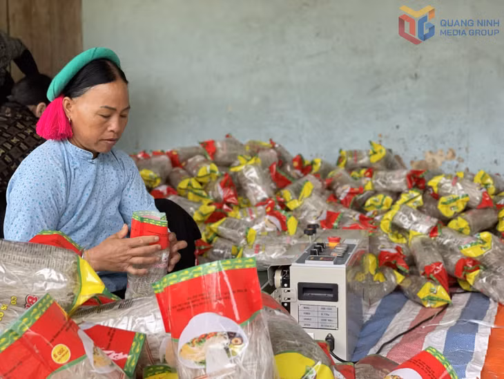 Người dân xã Bình Liêu sản xuất miến dong. Ảnh: Nguyên Ngọc