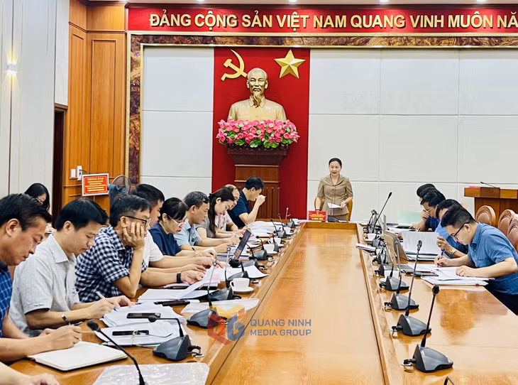 Đồng chí Vi Ngọc Bích, Ủy viên Ban Thường vụ Tỉnh ủy, Phó Chủ tịch Thường trực HĐND tỉnh làm việc với Ban Thường vụ Đảng ủy phường Hà Lầm.