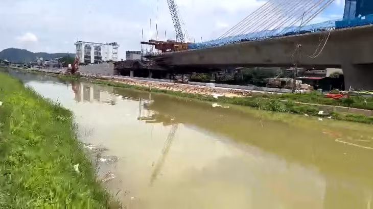 Trong nhiều ngày, tại một số kênh dẫn nước liên tục phát hiện xác lợn chết. Ảnh: Minh Hoàng