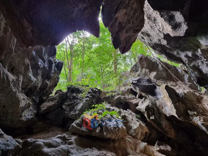 Hang Dơi trên đảo Trà Ngọ, Vườn quốc gia Bái Tử Long.