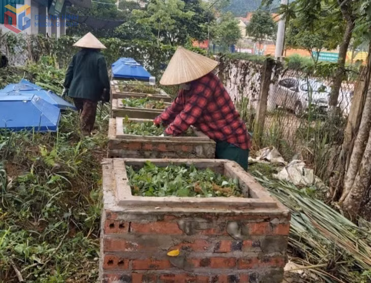 Nông dân xã Ba Chẽ ủ phân hữu cơ từ rác thải sinh hoạt.