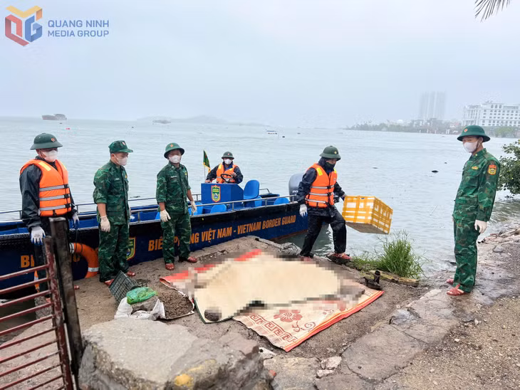 Thi thể nam giới được phát hiện ở khu vực giữa bãi tắm Bãi Cháy và hang Đầu Gỗ.