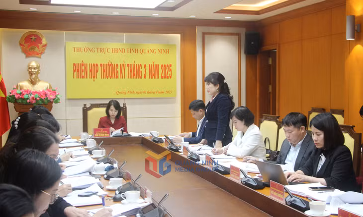 Đồng chí Nguyễn Thị Thu Hà, Phó Trưởng Đoàn ĐBQH tỉnh, phát biểu tại phiên họp.