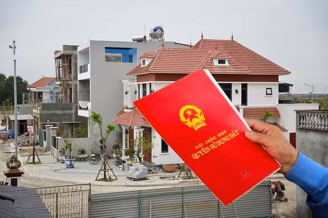 2 trường hợp khi sang tên sổ đỏ được cấp sổ mới. Đồ họa: Vy Vy
