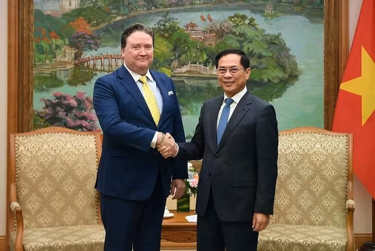Phó Thủ tướng Chính phủ Bùi Thanh Sơn tiếp Đại sứ Hoa Kỳ tại Việt Nam Marc E. Knapper. (Nguồn: Báo Chính phủ)