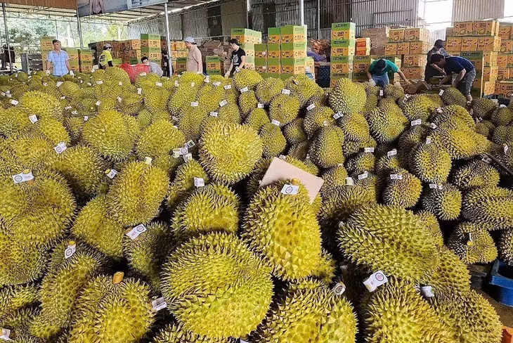 Nông sản Việt Nam có lợi thế lớn tại thị trường Trung Quốc nhờ vào sự gần gũi về địa lý và nhu cầu tiêu dùng cao